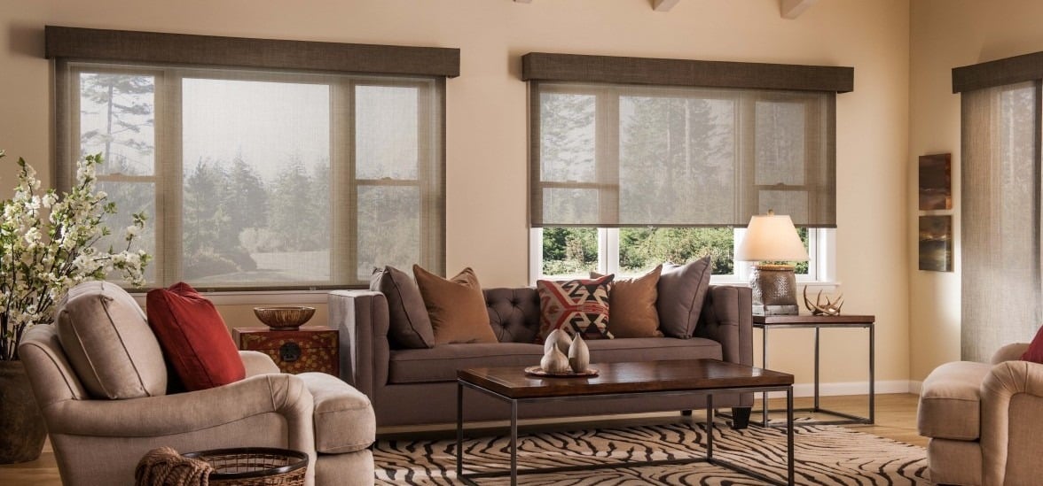 Roller shades LivingRoom Denton